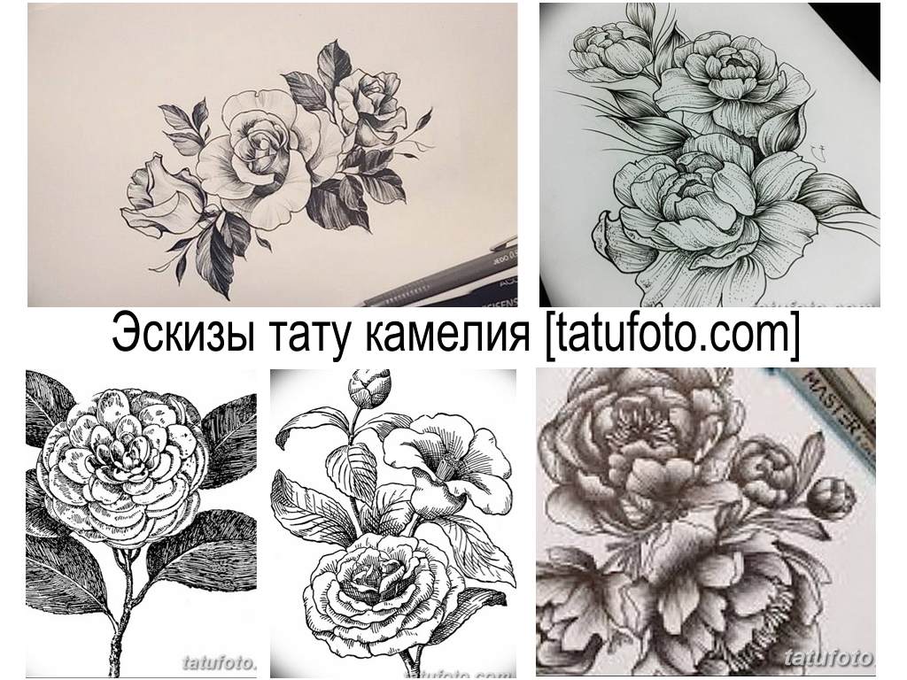 Camellia tetoválásvázlatok - rajzgyűjtemény tetováló ötlet létrehozásához