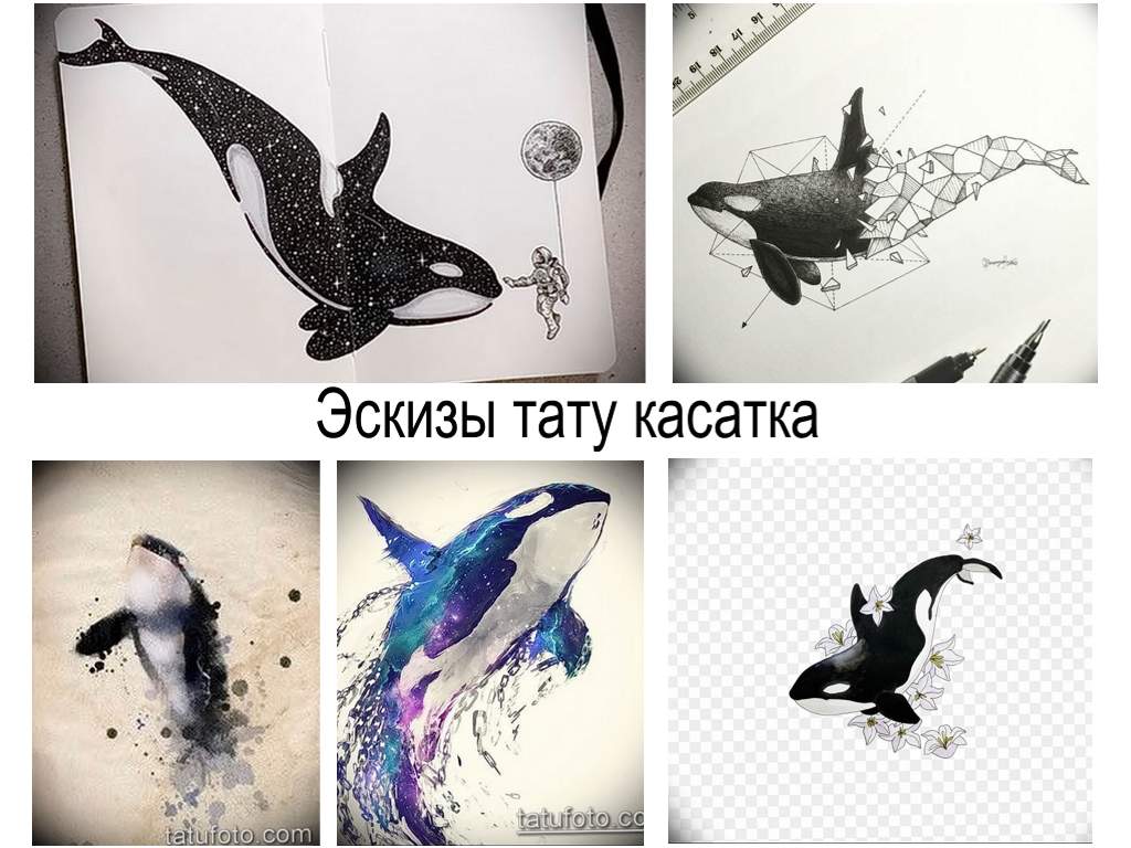 Gyilkos bálna tetoválás vázlatok - rajzgyűjtemény egy gyilkos bálna tetováláshoz és érdekes tények