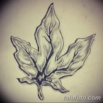 снимка Скици на татуировка клен от 29.09.2017 г. №011 - Скици на татуировка клен -