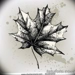 снимка Скици на татуиран клен от 29.09.2017 г. №014 - Скици на татуировъчен клен -