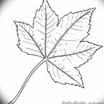 снимка Скици на татуировка клен от 29.09.2017 г. №022 - Скици на татуировка клен -