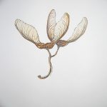 снимка Скици на татуировка клен от 29.09.2017 г. №025 - Скици на татуировка клен -