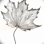 снимка Скици на татуировка клен от 29.09.2017 г. №031 - Скици на татуировка клен -