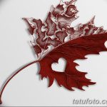 снимка Скици на татуировка клен от 29.09.2017 г. №034 - Скици на татуировка клен -