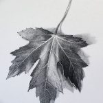 снимка Скици на татуировка клен от 29.09.2017 г. №038 - Скици на татуировка клен -