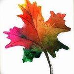 снимка Скици на татуировка клен от 29.09.2017 г. №047 - Скици на татуировка клен -