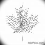 снимка Скици на татуиран клен от 29.09.2017 г. №048 - Скици на татуировъчен клен -