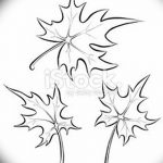 снимка Скици на татуировка клен от 29.09.2017 г. №051 - Скици на татуировка клен -