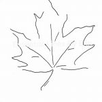 снимка Скици на татуировка клен от 29.09.2017 г. №061 - Скици на татуировка клен -