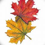 снимка Скици на татуировка клен от 29.09.2017 г. №071 - Скици на татуировка клен -