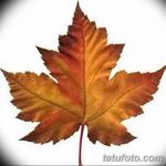 снимка Скици на татуировка клен от 29.09.2017 г. №080 - Скици на татуировка клен -