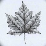 снимка Скици на татуировка клен от 29.09.2017 г. №088 - Скици на татуировка клен -