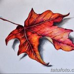 снимка Скици на татуировка клен от 29.09.2017 г. №089 - Скици на татуировка клен -