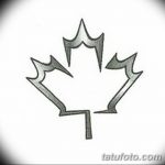 снимка Скици на татуиран клен от 29.09.2017 г. №096 - Скици на татуиран клен -