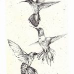 Fotóvázlat a kolibri tetoválásról 2018.10.15. №016 - a kolibri tetoválás vázlata -