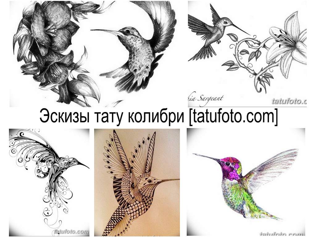 Kolibri tetoválás minták - eredeti tervek tetoválásokhoz