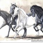 fotó Vázlatok egy lótetoválásról, 2017. 09. 29 -én №088 - Ló tetoválás vázlatai -