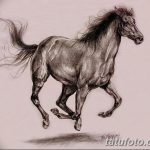 fotó Vázlatok egy lótetoválásról, 2017. 09. 29 -én №161 - Vázlatok egy lótetoválásról -