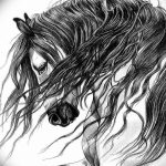 fotó Vázlatok egy lótetoválásról, 2017. 09. 29 -én №024 - Ló tetoválás vázlatai -