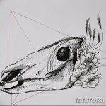 fotó Vázlatok egy lótetoválásról, 2017. 09. 29 -én №034 - Ló tetoválás vázlatai -