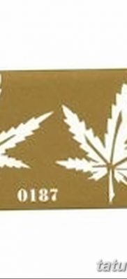 fotó vázlatok egy tetováló marihuánáról (kender) 2019.04.27. №060 - tetováló marihuána -