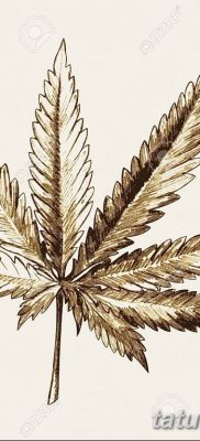 fotó vázlatok tetoválás marihuána (kender) 2019.04.27. №055 - tetoválás marihuána -