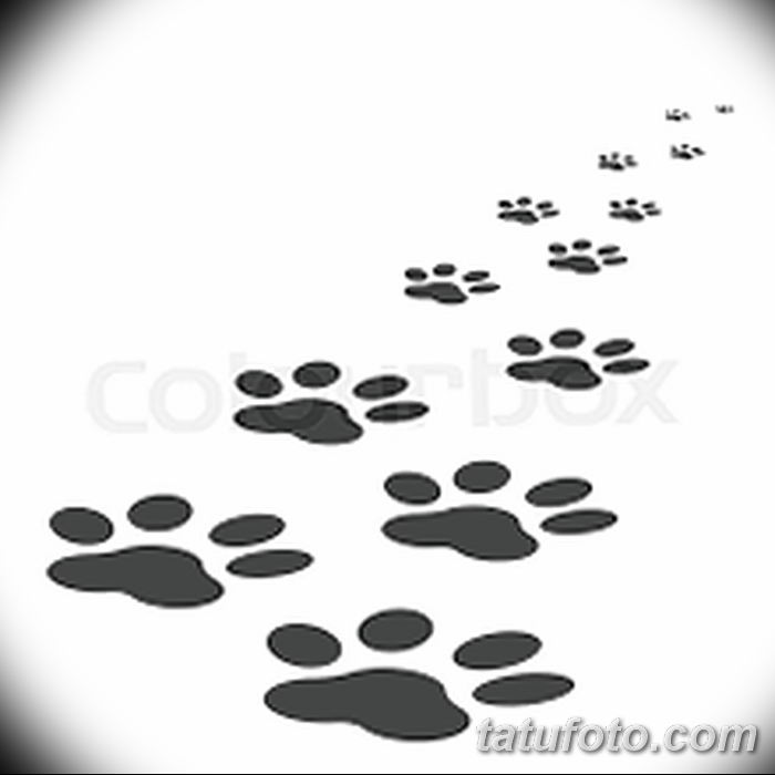 Tetovált macskanyomok vázlata 2018. 07. 31 -től №090 - Vázlatok tetováló macskanyomokról -