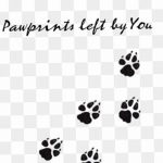 Tetovált macskanyomok vázlata 2018.07.31 -től №004 - Vázlatok tetováló macskanyomokról -