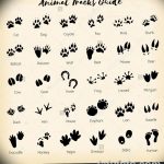 Tetovált macskanyomok vázlata 2018. 07. 31 -től 005 - Vázlatok tetováló macskanyomokról -