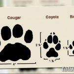 Tetovált macskanyomok vázlata 2018.07.31 -től №006 - Vázlatok tetováló macskanyomokról -