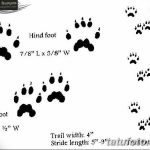 Tetovált macskanyomok vázlata 2018.07.31 -től №012 - Vázlatok tetováló macskanyomokról -