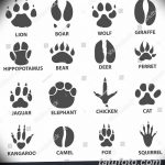 Tetovált macskanyomok vázlata 2018.07.31 -től №025 - Vázlatok tetováló macskanyomokról -