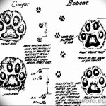 Tetovált macskanyomok vázlata 2018.07.31 -től №027 - Vázlatok tetováló macskanyomokról -