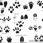 Tetovált macskanyomok vázlata 2018.07.31 -től №034 - Vázlatok tetováló macskanyomokról -