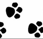 Tetovált macskanyomok vázlata 2018. 07. 31 -től №035 - Vázlatok tetováló macskanyomokról -