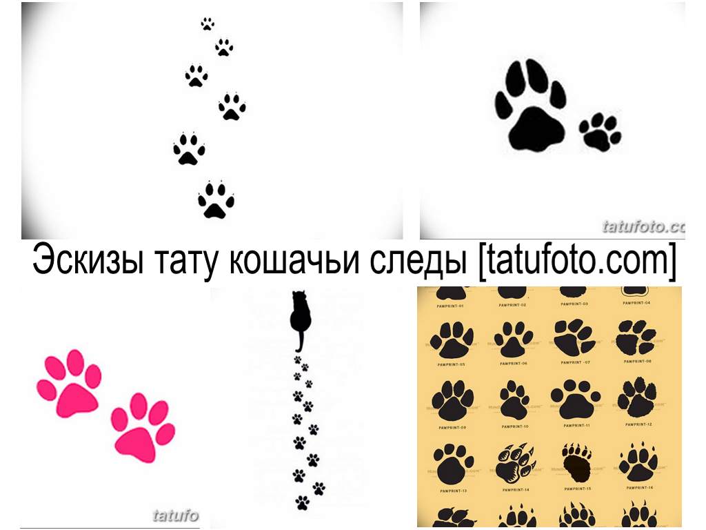Vázlatok macska mancs tetoválás - rajzok gyűjteménye tetoválás