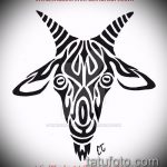 kecske tetoválás vázlat № 683 - a minta exkluzív változata, amely jól használható kecske koponya tetoválásként történő feldolgozásra és alkalmazásra