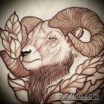 A kecske tetoválás vázlata # 536 egy rajz méltó változata, amely sikeresen használható a kecske koponyájának átalakítására és alkalmazására tetoválásként