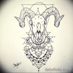 fotó Vázlatok egy bak tetoválásról, kelte: 2017. 09. 29 №025 - Vázlatokf a bak tetoválásról -