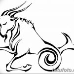 fotó Vázlatok egy Bak tetoválásról, keltezés: 09.09.2017 №069 - Vázlatokf a Bak tetoválásról -