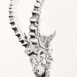 fotó Vázlatok egy bak tetoválásról, kelte: 2017. 09. 29 №072 - Vázlatokf a bak tetoválásról -