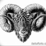 fotó Vázlatok egy Bak tetoválásról, kelte: 2017. 09. 29 №078 - Vázlatokf a Bak tetoválásról -