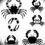 Фото скици татуировка рак рак от 11.09.2018 №094 - скициране татуировка рак рак -