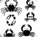 Фото скици татуировка рак рак от 11.09.2018 №063 - скициране татуировка рак рак -