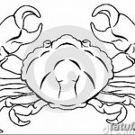 Фото скици татуировка рак рак от 11.09.2018 №053 - скициране татуировка рак рак -