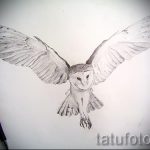 Érdekes vázlat a tetováló szárnyakról - a szárny tetoválásának rajza alkalmas a szárnyak tetoválására a hátsó fotón