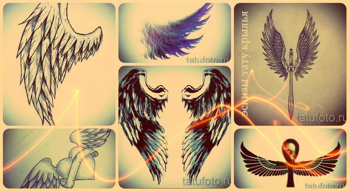 Wings tetoválás vázlatok - rajzok egy érdekes szárny tetováláshoz