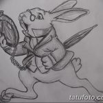 fotó Vázlatok egy nyúl tetoválásról 2018.01.09. №057 - Vázlatok egy nyúl tetoválásról -