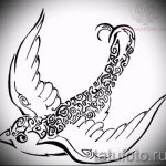 Hűvös fecskerajz - amely jól működik vázlatként egy észrevehető fecsketetováláshoz