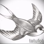 Hűvös fecskerajz - tökéletes vázlatként egy exkluzív fecsketetováláshoz